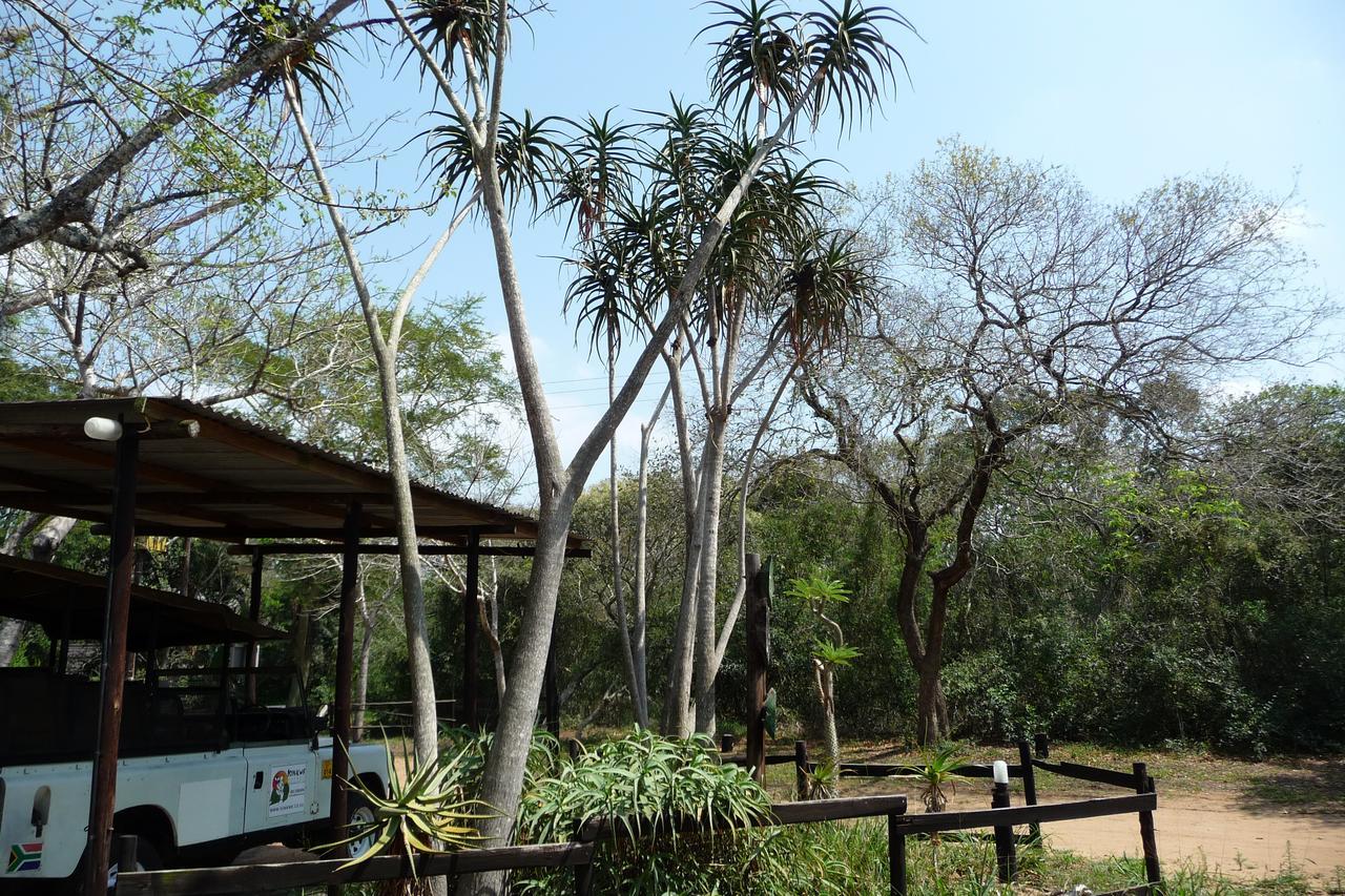 Isinkwe Bush Camp Villa Hluhluwe Esterno foto