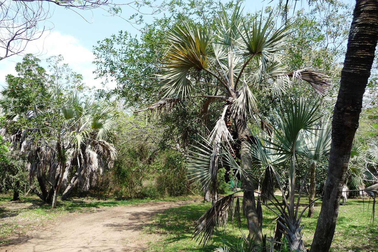 Isinkwe Bush Camp Villa Hluhluwe Esterno foto