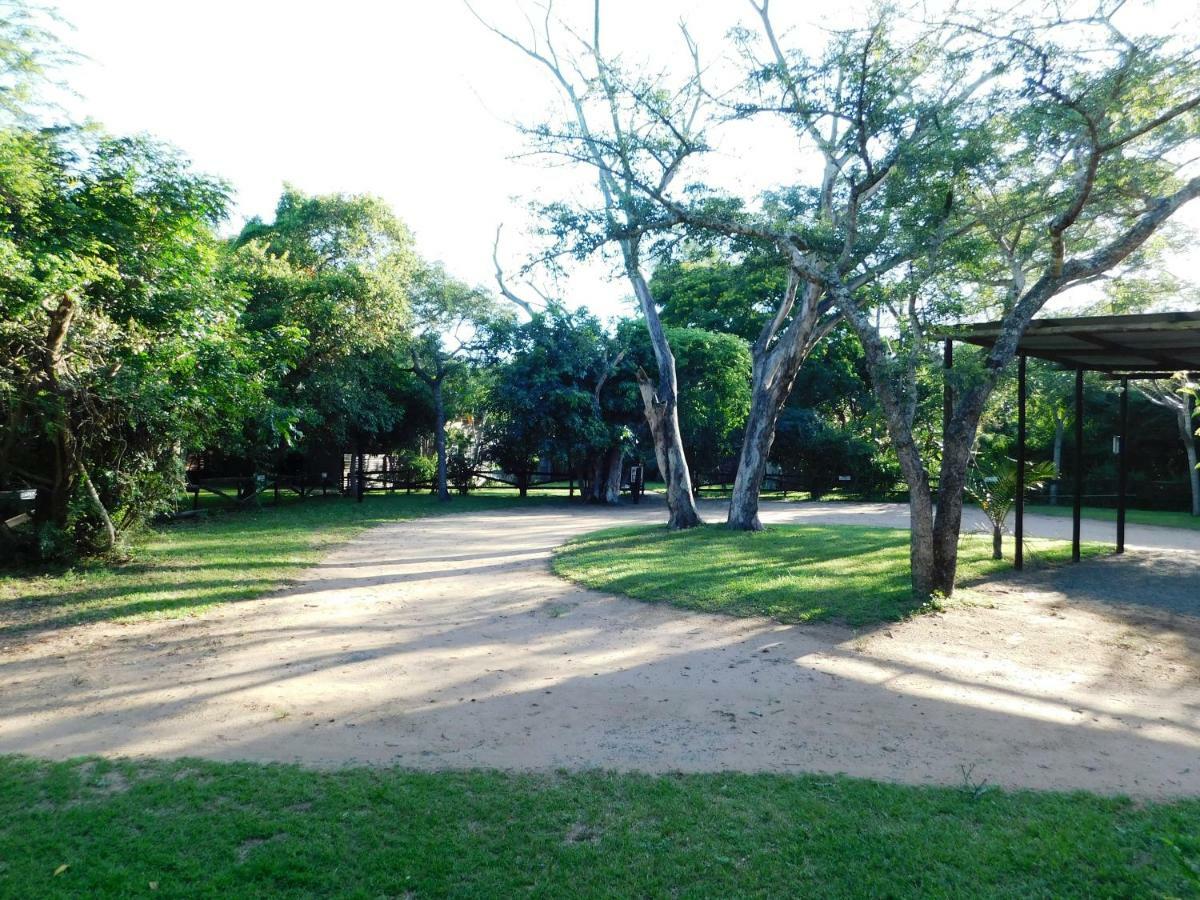 Isinkwe Bush Camp Villa Hluhluwe Esterno foto